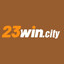 23wincity's avatar