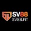 sv88fit's avatar