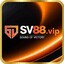sv88vipwiki's avatar
