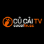 cucaitvcc's avatar