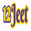 12jeet's avatar