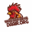 daairorg's avatar