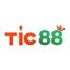 tic88win's avatar