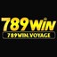 789winvoyage's avatar