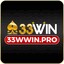 33wwinpro's avatar