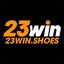 23winshoes's avatar