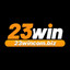 23wincombiz's avatar