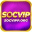 socvipporg's avatar