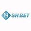 shbetvycom's avatar