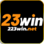 223winnet's avatar