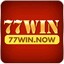77winnow's avatar