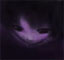 kuraxue's avatar