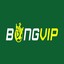 bongvipfit's avatar