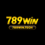 789wintech's avatar