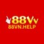 88vnhelp's avatar