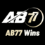 ab77winsnet's avatar