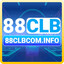 88clbcominfo's avatar