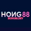 hong88dev's avatar