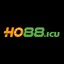 ho88icu's avatar