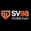 sv88hair's avatar