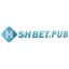 shbetpub's avatar