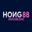 hong88one's avatar