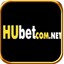 hubetcomnet's avatar