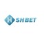shbet38com0's avatar