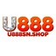 u888snshop's avatar