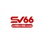 sv66sv66com's avatar