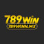789winnmx's avatar