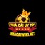nhacaiwikinet's avatar