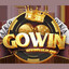 gowinplusitcom's avatar