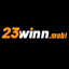 23winnmobi's avatar