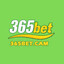 365betcam's avatar