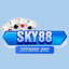 sky8888org's avatar