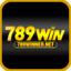 789winnernet's avatar