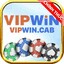 vipwincab's avatar