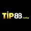 tip88today's avatar