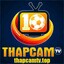 thapcamtvbid's avatar