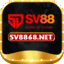 sv8868net's avatar