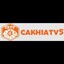 cakhiatv5com's avatar
