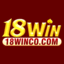 18wincocom's avatar