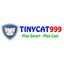 tinycat99org's avatar