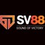 sv88realty's avatar