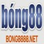 bong8888net's avatar