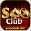 saoclubartvn's avatar