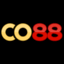 co88aorg's avatar
