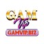 gamvipbiz's avatar