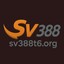 sv388t6org's avatar
